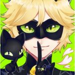 Cat Noir Wallpapers Cute Images Free Download