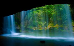 Beautiful scenery waterfall river forest rock