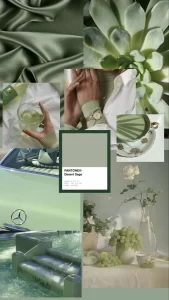 Aesthetic Collage Sage Green Wallpaper iPhone