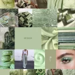 Aesthetic Collage Wallpaper Sage Green Free Download