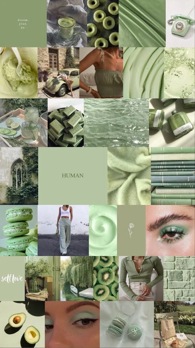 Aesthetic Collage Sage Green Wallpapers mobile Free Download