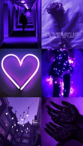 Purple Aesthetic Images