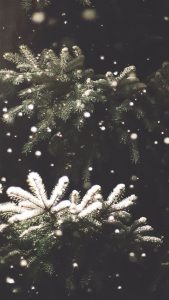 Christmas iPhone Wallpapers HD