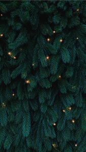 Green Christmas Tree With Lights iPhone Wallpapers