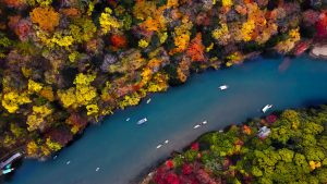 river-5120×2880-forest-colors-autumn-5k