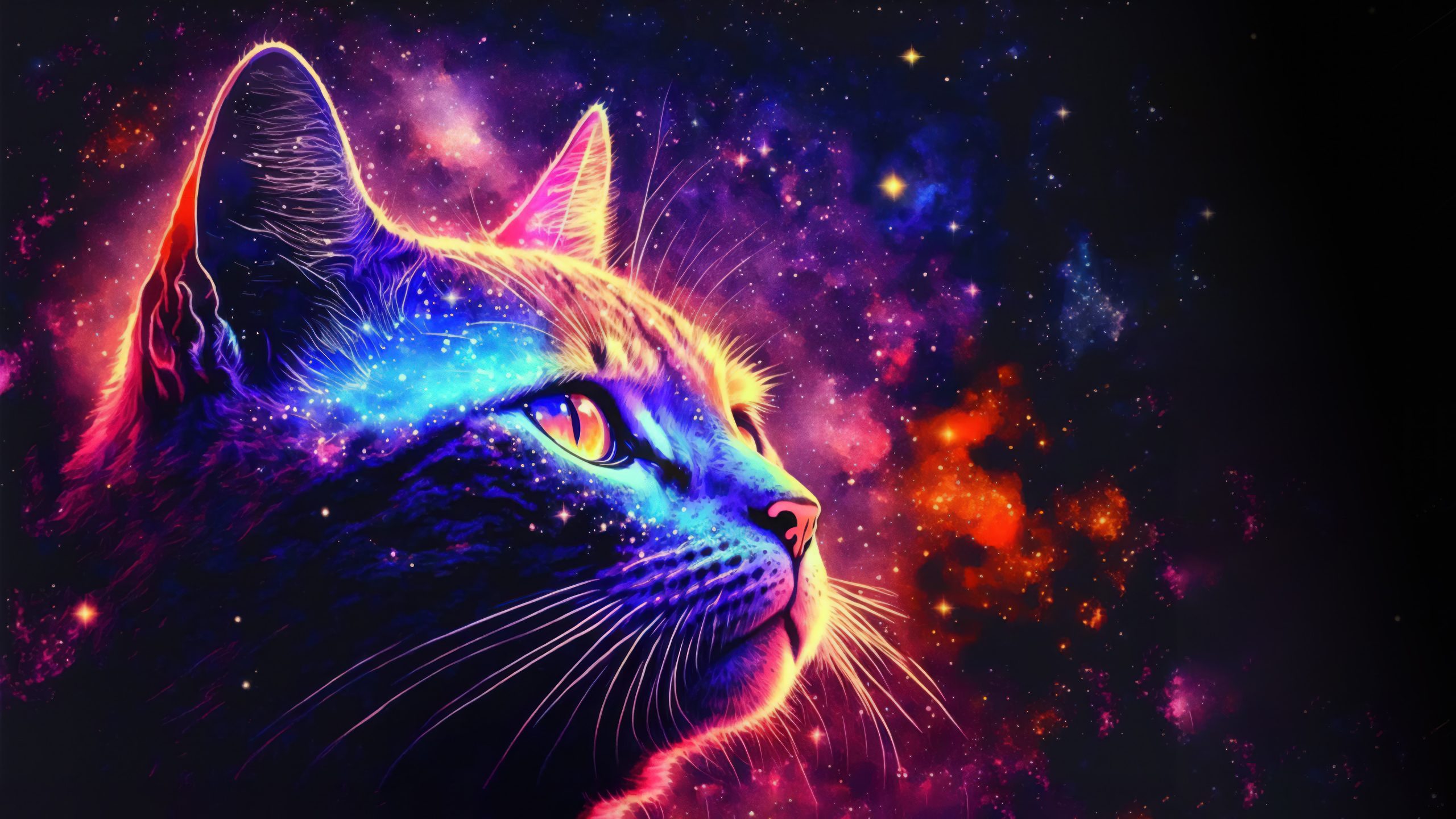 4k Colorful Cat Background Digital Art Wallpapers Free Download
