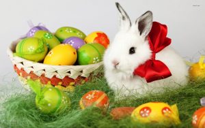 Easter HD Wallpaper Bunny