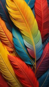4k Colorful Feathers iPhone 15 Wallpapers