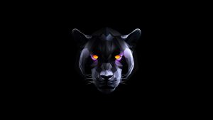 Black Panther Black Abstract Digital Art 4k