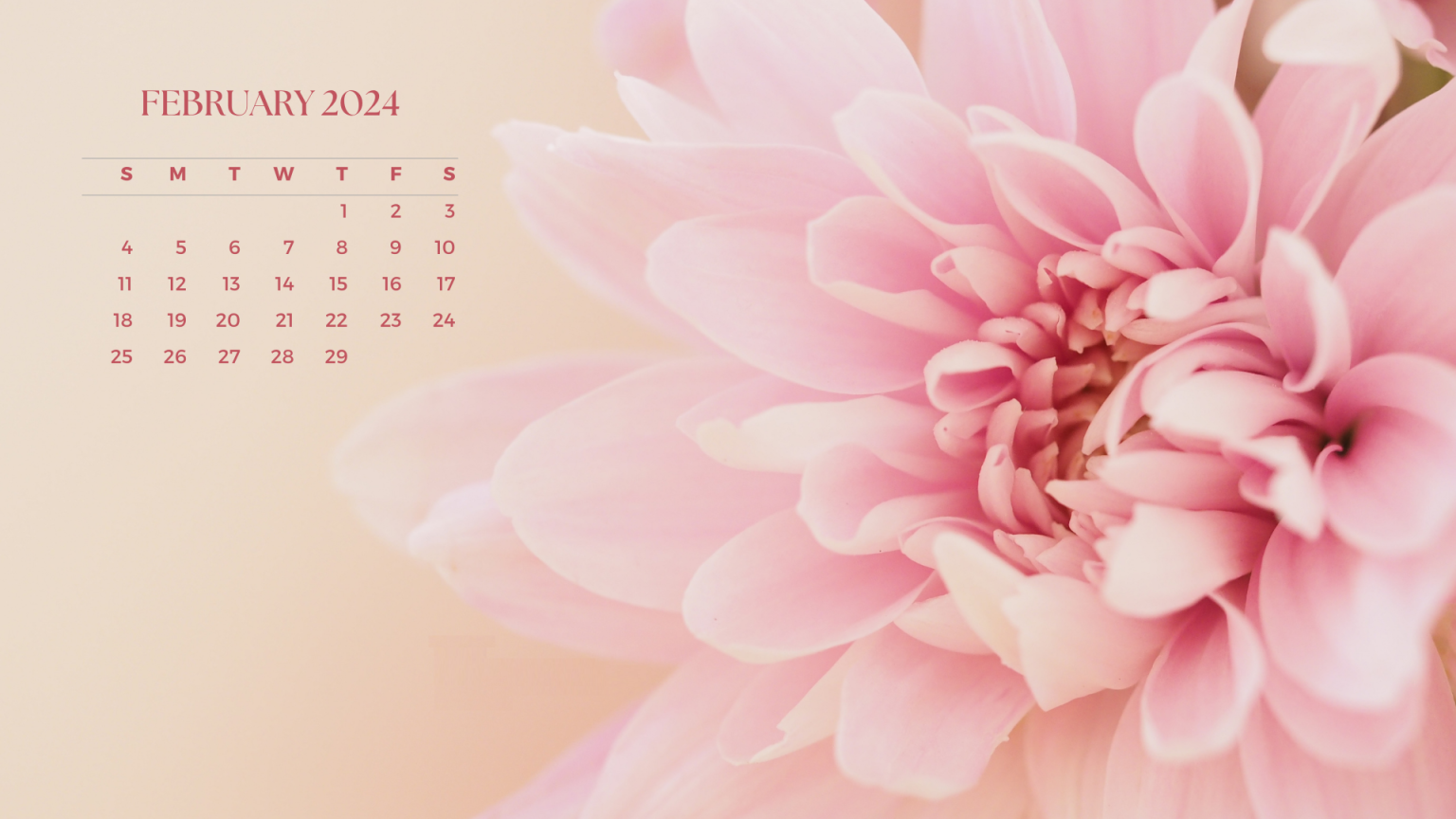 February 2024 Calendar Desktop Wallpaper Free Download