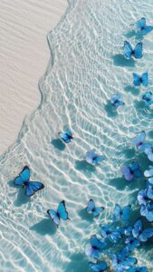 Summer Phone Wallpapers Blue Butterfly
