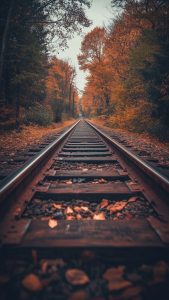 Autumn Railway Phone Wallpaper