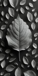 Fresh leaf isolated on black background