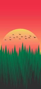 Minimalist Forest Sunset Wallpaper