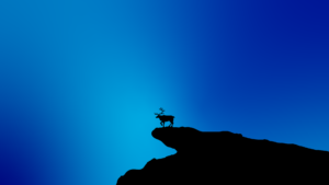 Minimalist Animal Desktop Blue Wallpaper Hd