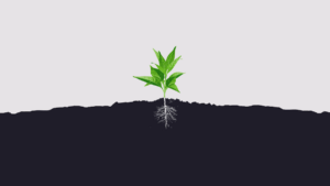 Plant Roots Minimalist Desktop Wallpaper HD