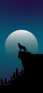 Wolf Night Moon Wallpaper 260820 Hd