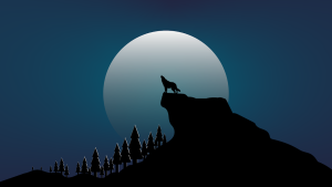 Night Wolf Wallpaper 260820 Hd